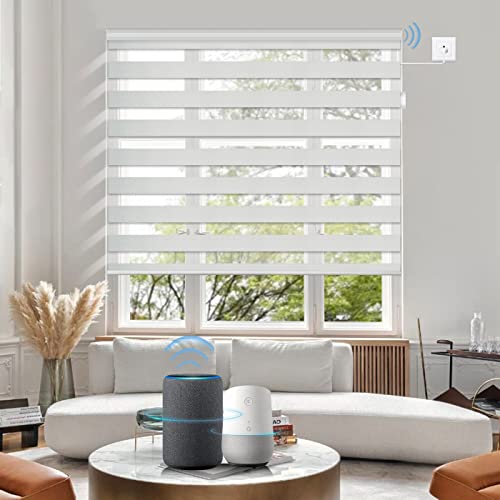 電動 ロールスクリーン graywind」の人気商品一覧 | 安い商品を通販
